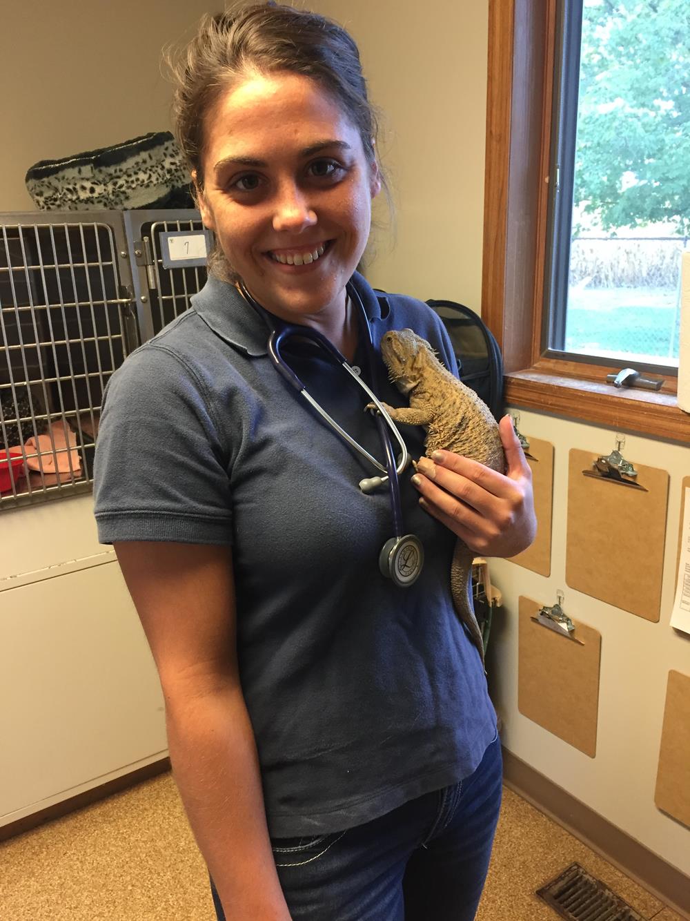 Small Animal Services in Clinton, Greencastle, Rockville and