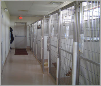 Indoor dog kennels